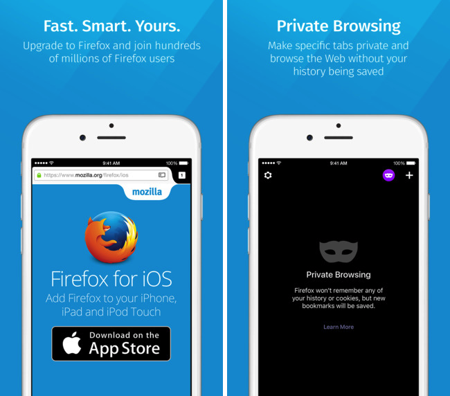Firefox web browser1